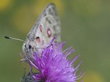 ONA36800.jpg